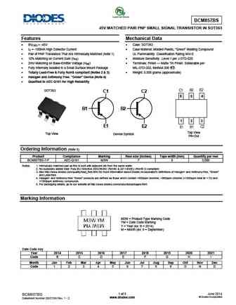 BCM856DS
