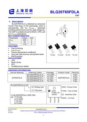 BLG20T65FDLA-B
