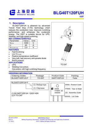 BLG40T120FDH-F
