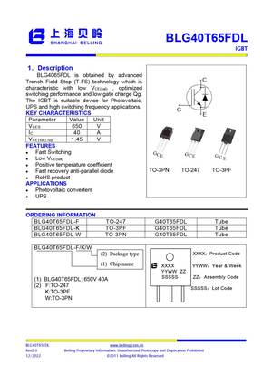 BLG40T65FDL-F
