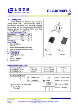 BLG40T65FDL-W
