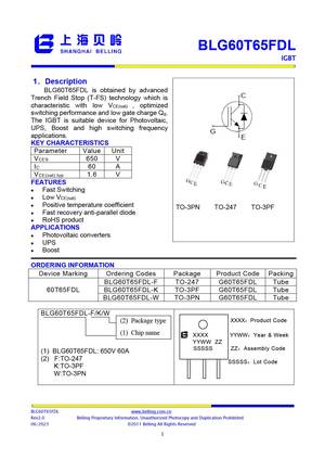 BLG60T65FDK-W
