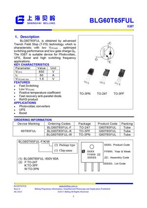 BLG60T65FDL-F
