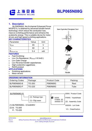 BLP065N10GL-Q