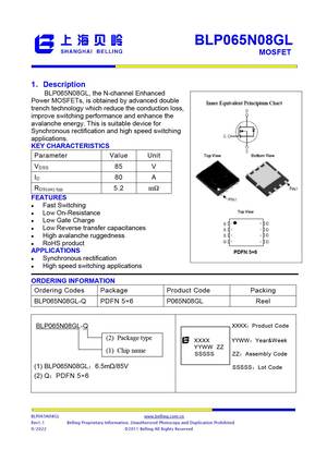 BLP065N10GL-D
