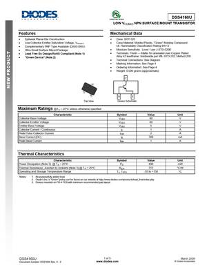 DSS4160DS