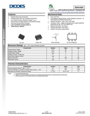 DSS4160DS