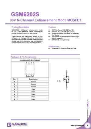 GSM6202S
