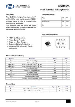 HSM6303
