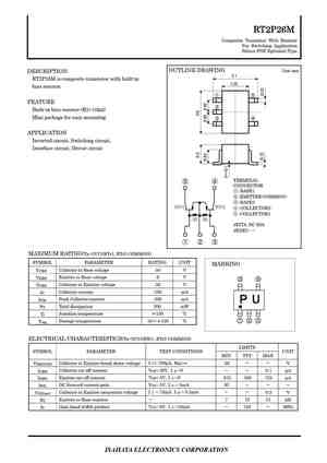 RT2P24M
