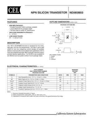 NE685M13
