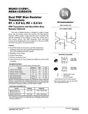 NSBA123TDP6T5G
