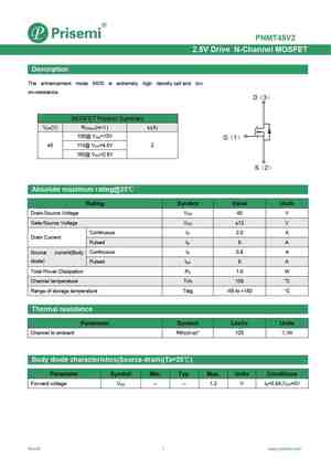 PNMT45V2
