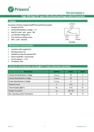 PNT523T503E0-2
