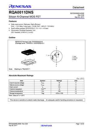 RQA0011DNS
