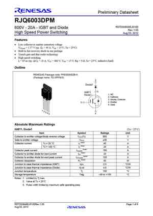 RJQ6008DPM
