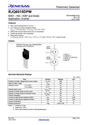 RJQ6008DPM
