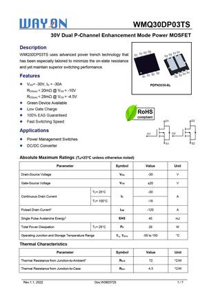 WMQ30DP03TS
