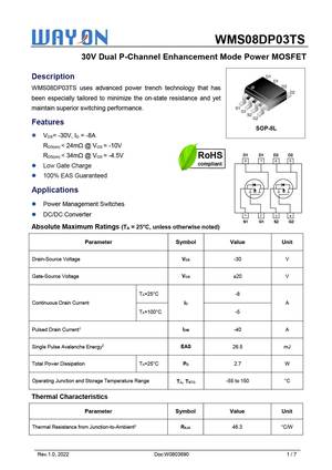 WMS08DP03TS
