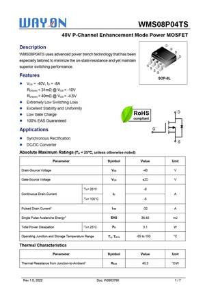 WMS08DP03TS
