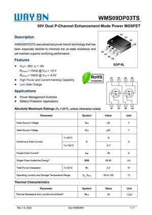 WMS09P06TS
