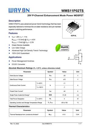 WMS11P04T1
