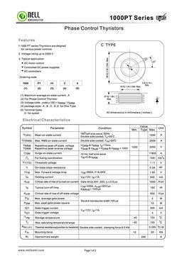 1000PT14C0
 datasheet