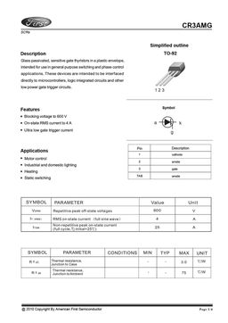 CR2AMG
 datasheet