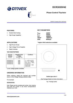 DCR3030V42
 datasheet