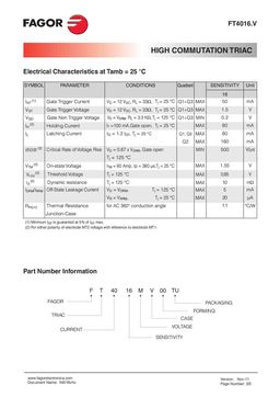 FT4016NV
 datasheet #2