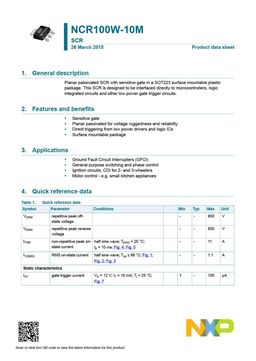 NCR100W-10M
 datasheet