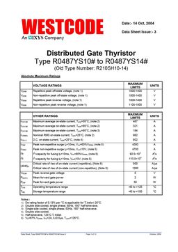 R0487YS10D
 datasheet