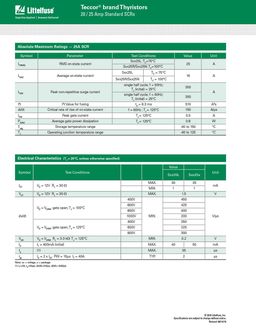 S6025N
 datasheet #2