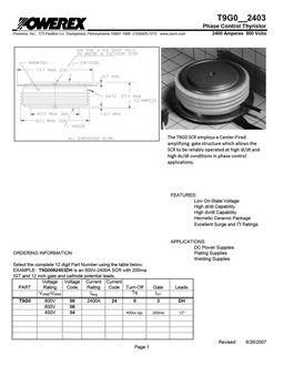 T9G0062403DH
 datasheet