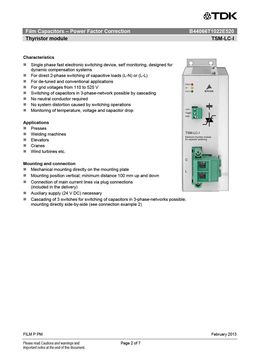 TSM-LC-I
 datasheet #2