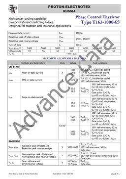 Т163-1000
 datasheet