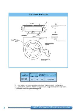 Т243-1000
 datasheet #2